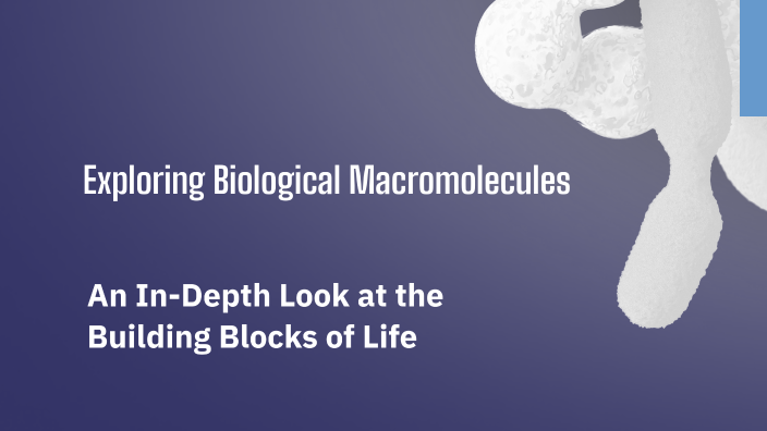 Exploring Biological Macromolecules by ANTONIO WARD on Prezi