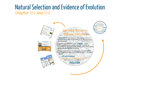 Natural Selection and Evidence of Evolution by Christine Nguyen on Prezi