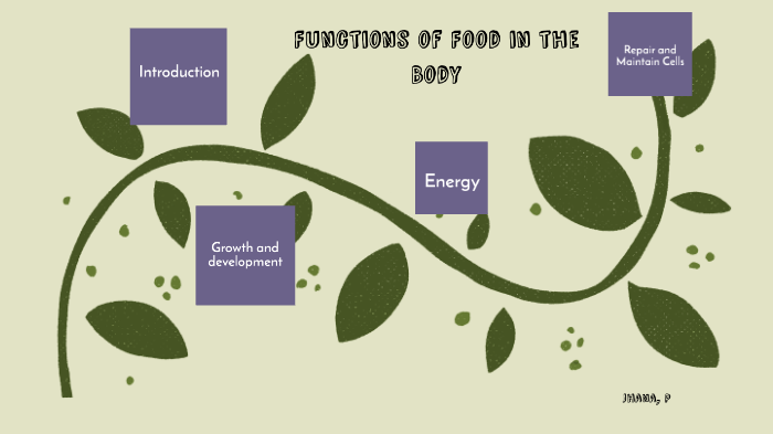 functions-of-food-in-the-body-by-jhana-parumog