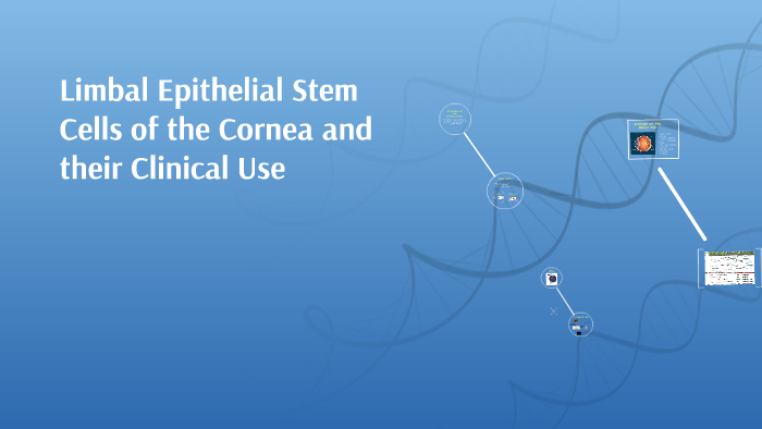 Limbal Epithelial Stem Cells of the Cornea and their Clinica by Ayse ...