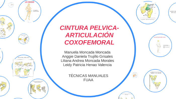 Cintura Pelvica-articulaciÓn Coxofemoral By Angie Trujillo On Prezi