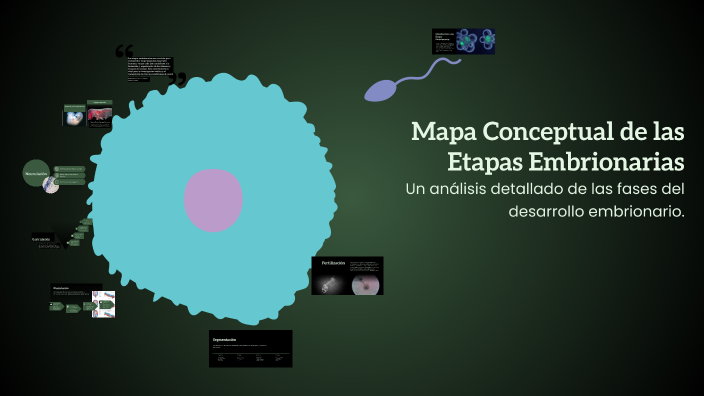 Mapa Conceptual de las Etapas Embrionarias by alicia b on Prezi
