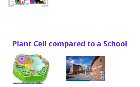 Plant cell compared to school by Nicole Banzer on Prezi
