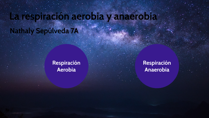 La Respiración Aerobia Y Anaerobia By Nathaly Carolina SepÚlveda CalderÓn 7560