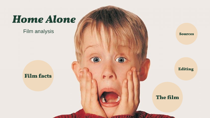 home alone film review essay