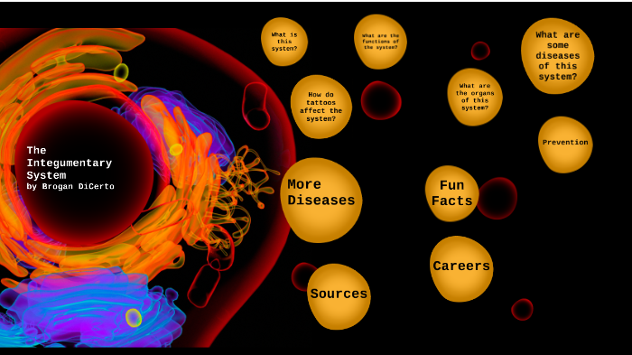 Ingumentary System by Brogan DiCerto on Prezi