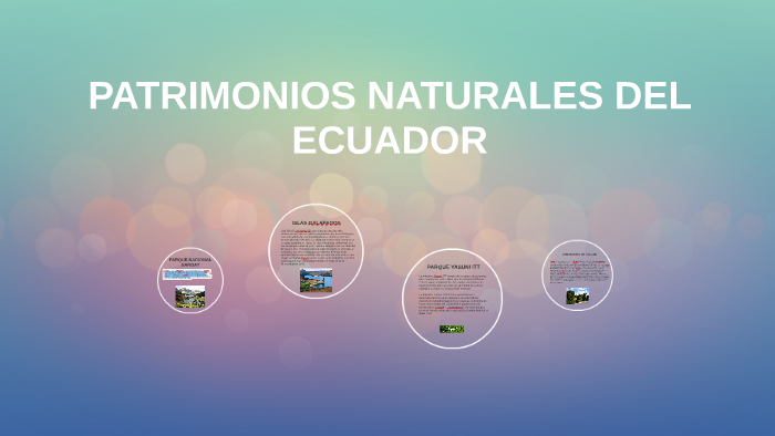 PATRIMONIOS NATURALES DEL ECUADOR By David Vallejo