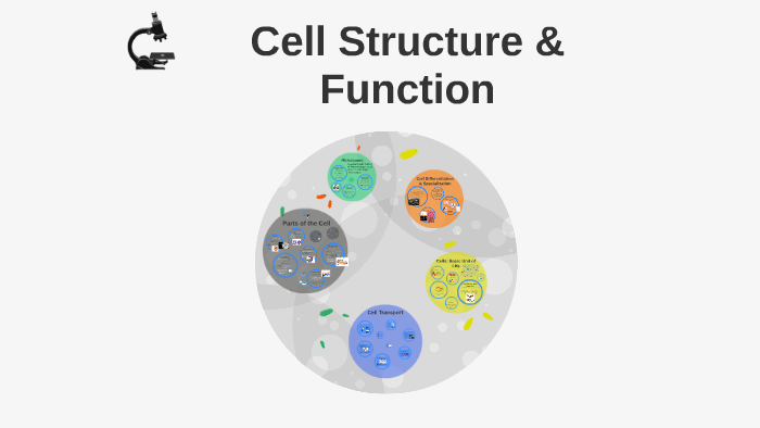 Unit 2: Cell Structure and Function by Chelsea Wetherby