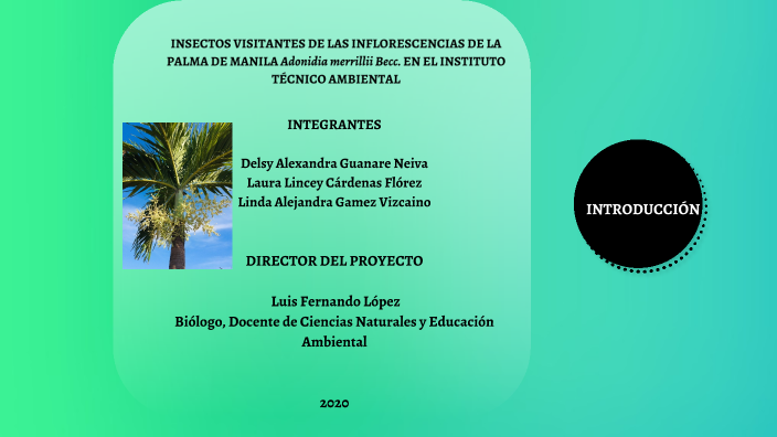 Diapositivas proyecto de grado by Alexandra Neiva on Prezi
