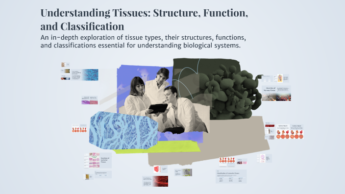CHAPTER 4-Understanding Tissues: Structure, Function, and ...