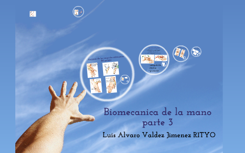Biomecanica de la cintura pelvica by Alvaro Valdez on Prezi