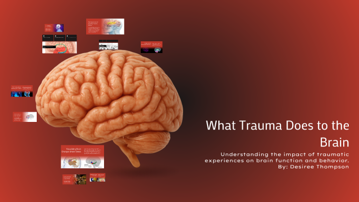 What Trauma Does to the Brain by Desiree Thompson on Prezi