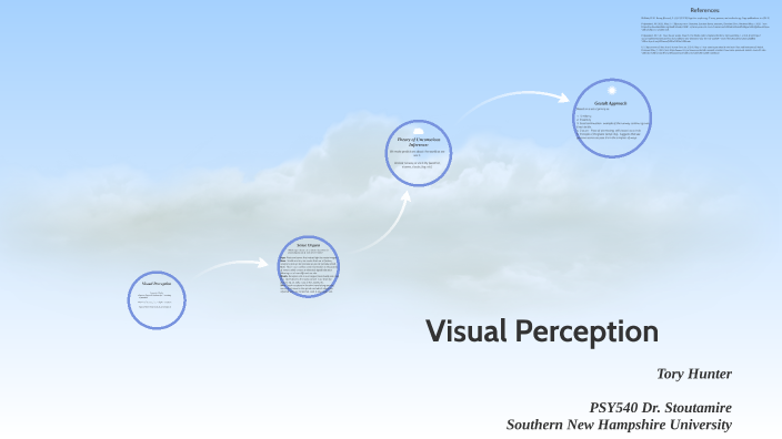 visual perception presentation