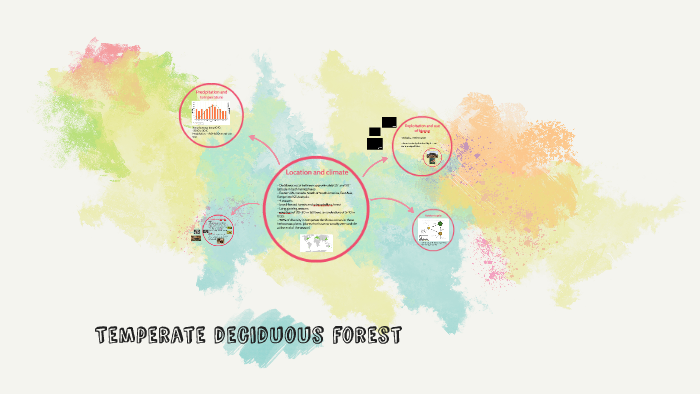 Temperate deciduous forest by Kaya Rivers on Prezi
