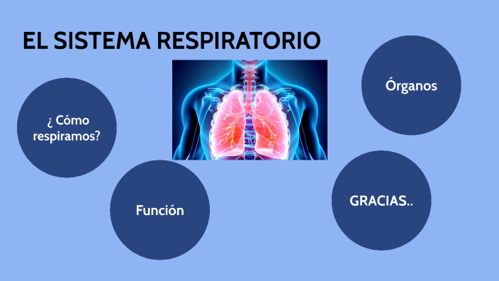 EL SISTEMA RESPIRATORIO by Joymer Ayala on Prezi