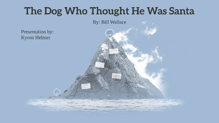 The Dog Who Thought He Was Santa by Abbey Helmer