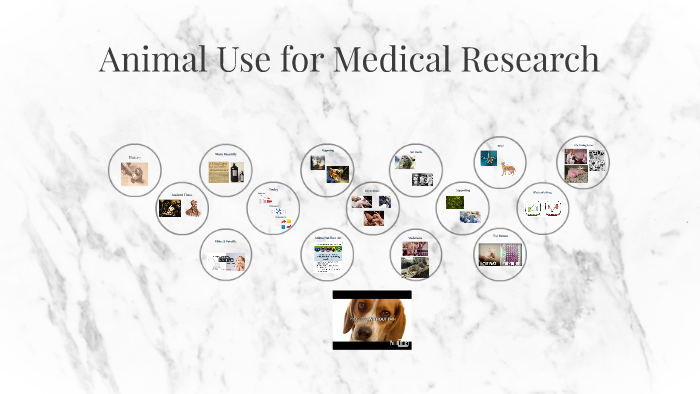 medical research use of animals