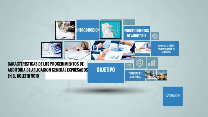 CARACTERISTICAS DE LOS PROCEDIMIENTOS DE AUDITORIA DE APLICACION