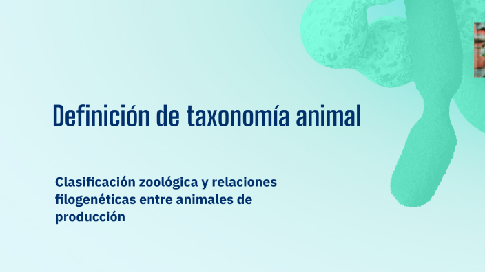 Definición de taxonomía animal by Byron Eduardo Corado Arévalo on Prezi