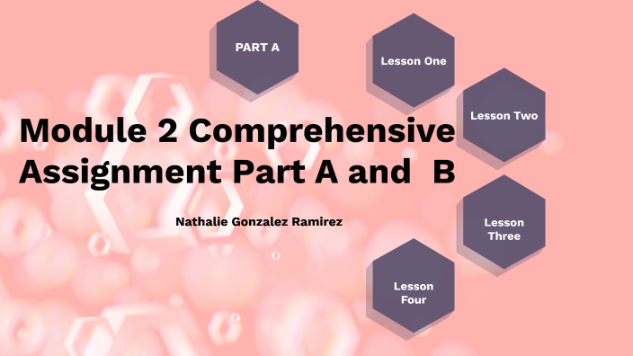 Module 2 Comprehensive Assignment Part B by Nathalie Gonzalez Ramirez ...