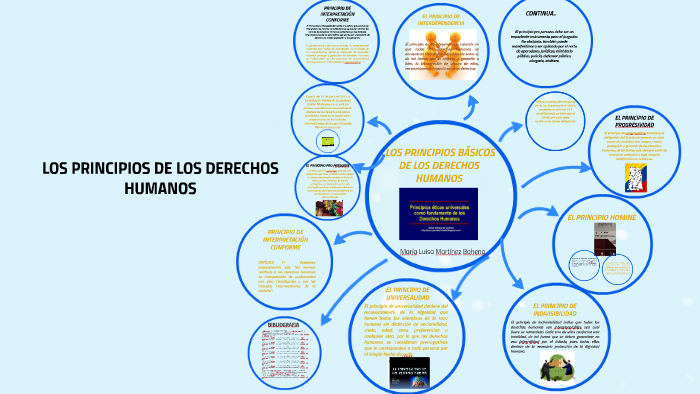 Principios De Los Derechos Humanos