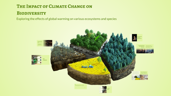 The Impact of Climate Change on Biodiversity by هنو on Prezi