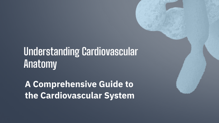 Understanding Cardiovascular Anatomy by yudisa diaz on Prezi