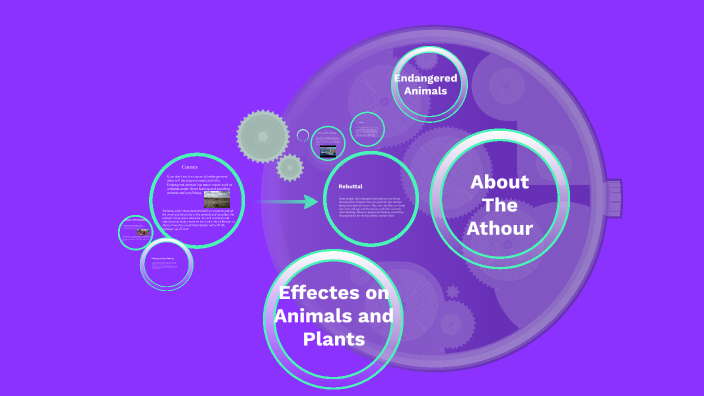 Endangered Animals by KINLEY PRICE on Prezi