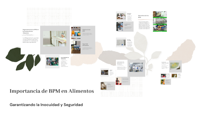 Importancia de BPM en Alimentos by Rosario Yajaira Ramos Moreno on Prezi