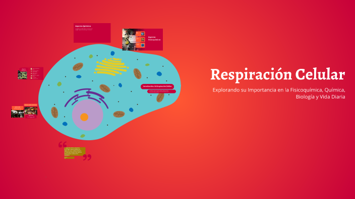 Respiración Celular by sofia neri on Prezi