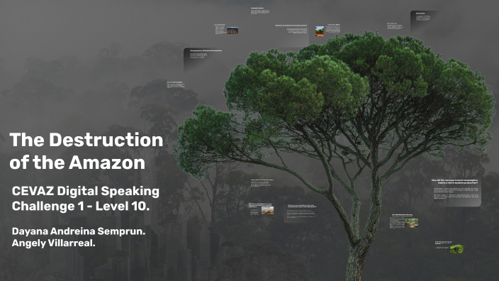 The Destruction of the Amazon by on Prezi