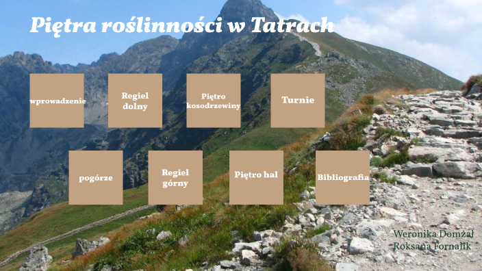 Piętra roślinności w Tatrach by Prezentacja Środowisko on Prezi
