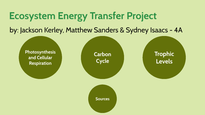 transfer and transformation of energy in an ecosystem