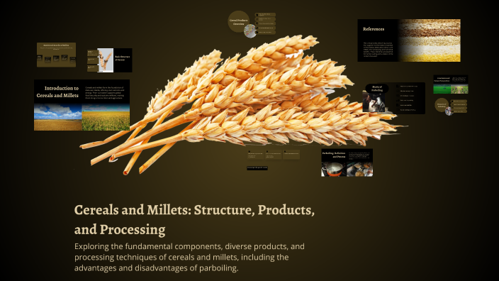 Millets Structure Cereals and Millets: Structure, Products, and Processing by Lura on Prezi