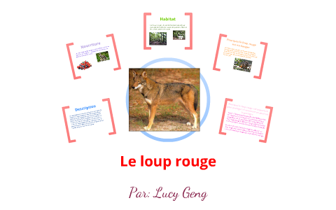 LE LOUP ROUGE by Lucy Geng on Prezi