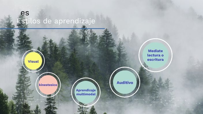 Estilos de aprendizaje by JENNIFER ANAHI SALAZAR SALAZAR on Prezi