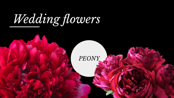 цветы by катя попова on Prezi