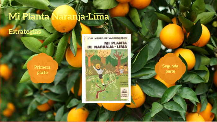 Mi planta naranja lima by Angie Vela on Prezi