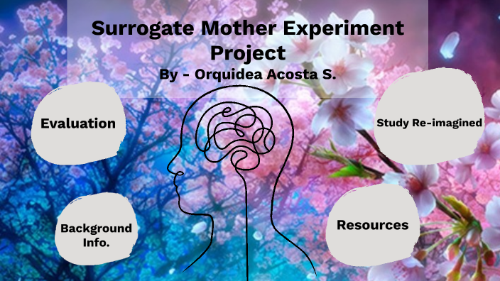 surrogate mother psychology experiment