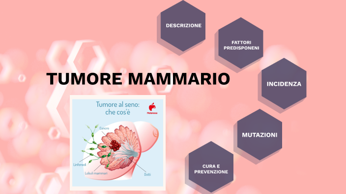 TUMORE MAMMARIO by Gabriele Amorese on Prezi