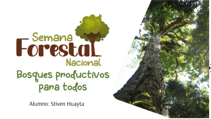 Semana Nacional Forestal by Stiven Huayta on Prezi