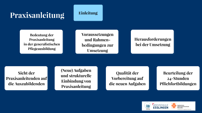 BIBB Begleitforschung -Ergebnisse Praxisanleitung By Markus Wochnik On ...