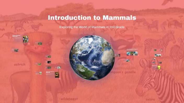 Stunning Introduction In Mammals image