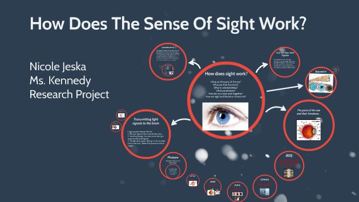 how-does-the-sense-of-sight-work-by-nicole-j