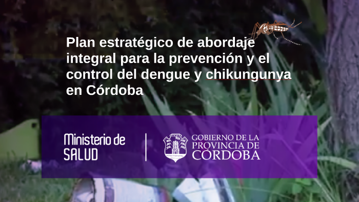 Plan Estratégico De Abordaje Integral Para La Prevención Y E By