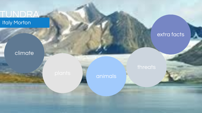 TUNDRA BIOME By Italy Morton** On Prezi