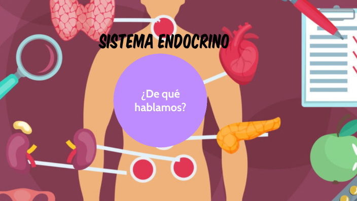 Sistema Endocrino By Carla Prando On Prezi 