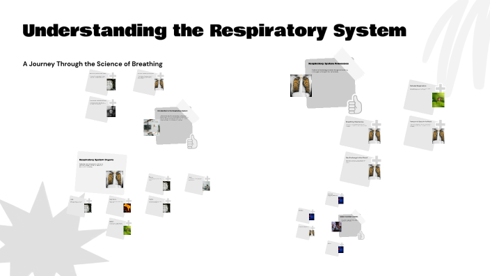 Understanding the Respiratory System by Atayeva Zebo on Prezi
