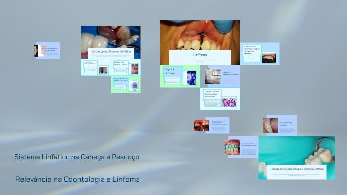 Sistema Linfático Na Cabeça E Pescoço By Rafaela Essvein On Prezi