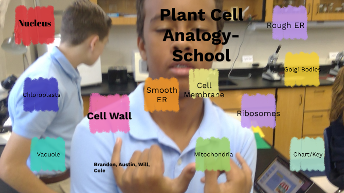 Plant Cell by Austin Turner on Prezi